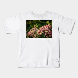 Bee On Sedum Flower 2 Kids T-Shirt